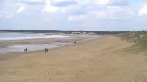 spot de surf de Bud Bud